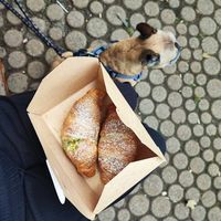 Schoko und Pistazie at Grey Kaffee in Vienna