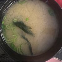 Miso soup con tofu  at Sushi Yuan in Milan