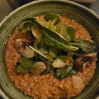 Lentil main course at HEBE  in Paris