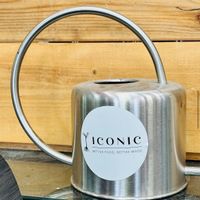   at Iconic Vegan Cafe in Dallas