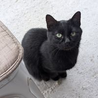  at Restorant 4 Stinet in Vlore