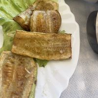 Zucchini Friters  at Vangelis Hotel Restorant in Himare