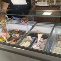 Flavors  at Plant Love Ice Cream  in Gulfport