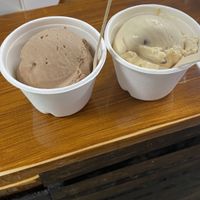 1 scoop in cup  at Plant Love Ice Cream  in Gulfport