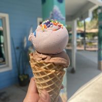   at Plant Love Ice Cream  in Gulfport