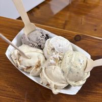 ice cream flight   at Plant Love Ice Cream  in Gulfport