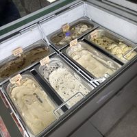 half of the ice cream selection   at Plant Love Ice Cream  in Gulfport