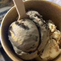 1 scoop cookies n cream, 1 scoop cookie butter  at Plant Love Ice Cream  in Gulfport