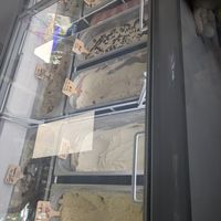  at Plant Love Ice Cream  in Gulfport