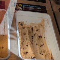 Vegan ice cream at PortAventura World in Tarragona