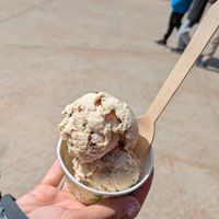 Vegan ice cream 2 scoops at PortAventura World in Tarragona