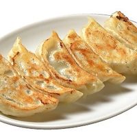 Vegetable Gyoza at Menya Iroha CiC - 麺家いろは CiC店 in Toyama