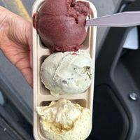 Pick three… all dairy free… 🍒 cherry sorbet, mint chip and lemon 🍋 poppyseed…..  at True North Ice Cream in Battle Creek