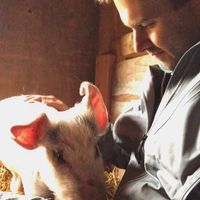 Esme at A Home for Hooves Farm Sanctuary in Duncan