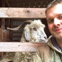 Miguel  at A Home for Hooves Farm Sanctuary in Duncan