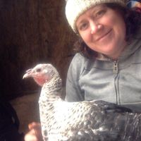  at A Home for Hooves Farm Sanctuary in Duncan