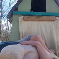  at A Home for Hooves Farm Sanctuary in Duncan