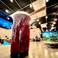  at Quinteassence Kava Bar in Lakeland