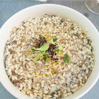 Vegan mushroom risotto at Lyra in Athens