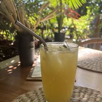   at Aguacate Veggie Bar in Oaxaca