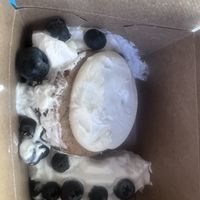 Banana Cake to go—yummmmm   at Drop Bear Brewery in Eugene