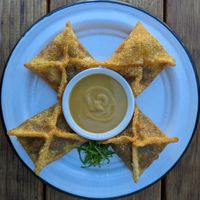 Crispy Mushroom Dumplings at 28 Tigers in Portland