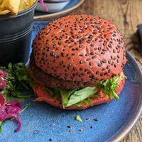  at Ahoy Cafe in Killybegs