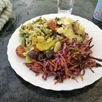 Middle sized plate of a warm dish plus 3 salads. at Vita-Nova Vegetaria in Bamberg