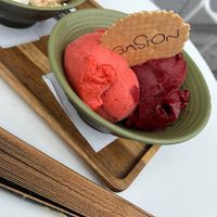 the sorbets are all vegan and they had like 8 different versions! (Idk if the Waffels are vegan tho)  at Gaston in Brussels