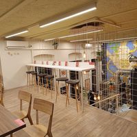 Interrior at Hummus Bar in Szeged