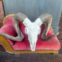  at Arcadia Coffee House in Newport