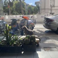   at Vintage Coffee in Istanbul