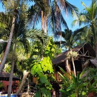  at Vedge Bohol in Panglao