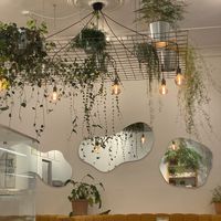   at Coffea in Berlin
