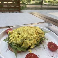   at Plantoholic in Dubai