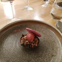 Main dessert. Very chocolatey with hibiscus sorbet at Laurel in Budapest