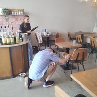 Twee cafekatten at The Coffee Spot  in Haarlem