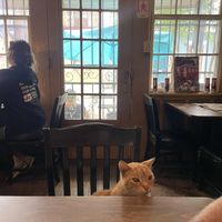   at Flora Gallery & Coffee Shop in New Orleans