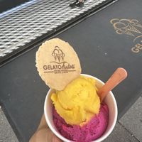 Mango & dragonfruit sorbet, nothing special in taste  at Fratelli Gelato & Pizza in Kosice