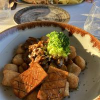   at Terrabite in Simuni