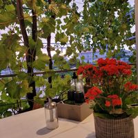  at Terrabite in Simuni