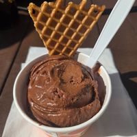  at Bright Ice Scoop Shop - Wellen Park in Venice