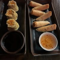 Veggie spring rolls and dumplings   at Silk Elephant in Ankeny