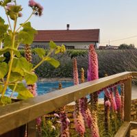 Corner of the garden   at VALA in Fazana