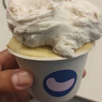 Vainilla Madagascar y Melocotón Albahaca at CAJÚ Gelato in Barcelona