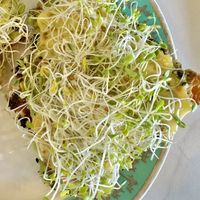 Avocado Croissant Toastt  at Unicorniverse Bakery & Cafe in Round Rock