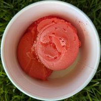 Tiger's Blood at Oh My Gelati in Oregon City
