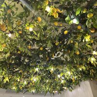 Ceiling  at Eccellenze della Costiera in Naples