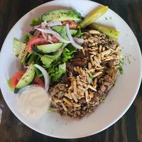 Mujadara Plate and Fool Tahini & Green Beans at Zayna Mediterranean in Tucson