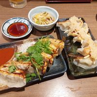 Coriander gyoza and ginger gyoza at Pariking in Kanazawa